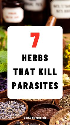 Herbs To Kill Parasites, Herbs To Get Rid Of Parasites, All Natural Parasite Cleanse, Parasite Cleanse Herbs, How To Remove Parasites Naturally, How To Get Rid Of Parasites In Stomach, Natural Parasite Cleanse Recipes, Foods That Kill Parasites