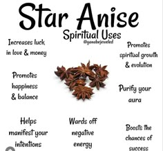 Anise Witchcraft, Magickal Herbs, Witch Rituals, Green Witchcraft, Magic Spell Book, Magic Herbs