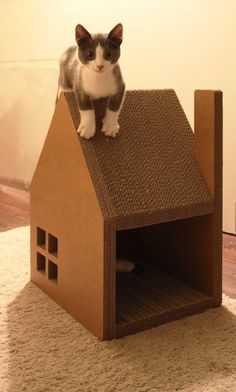 a cat sitting on top of a cardboard house