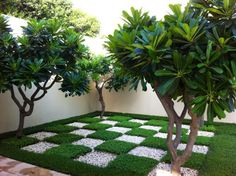 a small garden with grass and trees in the center, surrounded by white stepping stones