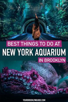 the new york aquarium in brooklyn with text overlay that reads best things to do at new york aquarium in brooklyn