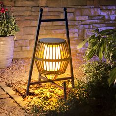 a light that is sitting in the grass near some plants and flowers on the ground