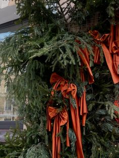 an arrangement of christmas trees with orange bows hanging from the branches in front of a window