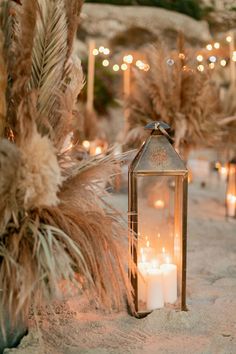 a candle is lit on the sand near some palm trees and other plants with lights in the background