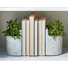 three books sitting on top of a white shelf next to two planters filled with plants