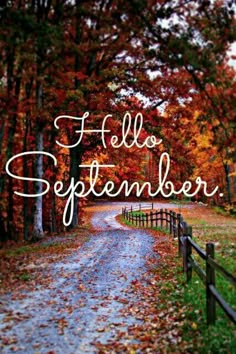 the words hello october are written in white on a road surrounded by fall leaves and trees