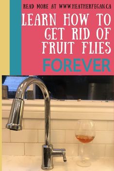 a sink with a faucet next to it and the words, learn how to get rid of fruit flies forever