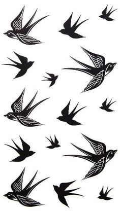 a flock of birds flying in the air with their wings spread out to form a pattern