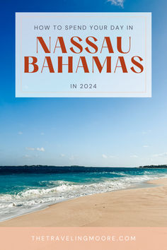 Experience the Best of Nassau Bahamas: Top Things to Do in the Cruise Port Swimming With Pigs, Secret Wedding, The Bahamas, Caribbean Cruise, Cruise Travel