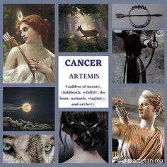 Cancerian Aesthetic, Zodiac Signs Pictures, Greek Gods And Goddesses, Astrology Numerology, Zodiac Society, Moon Signs, Zodiac Signs Astrology, Natal Charts, Zodiac Art