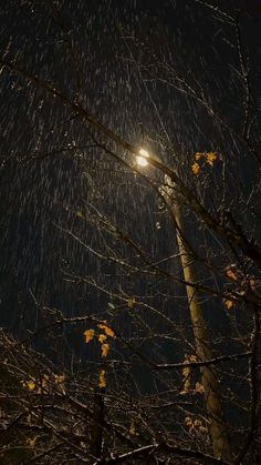 the street light shines brightly in the dark night sky, with falling snow on it