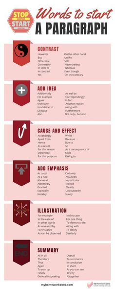 the top five steps to start a paragraphh infographical guide for beginners