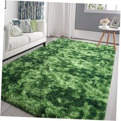 a living room with a green rug on the floor and a couch in the background