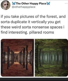 an image of the woods and trees that are in different stages of being photographed on twitter