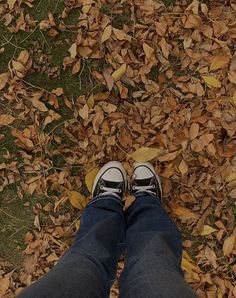 a person standing on top of leaves covered ground