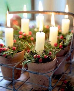 small potted plants with lit candles in them