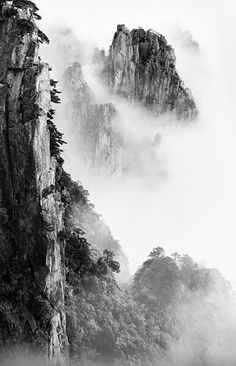 black and white photograph of mountains in the fog with trees growing on top of them