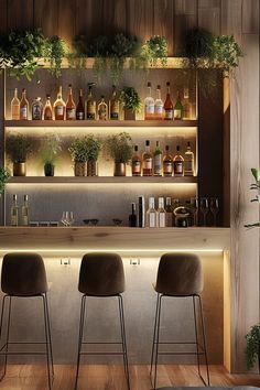 three bar stools in front of a wooden shelf with bottles and plants on it