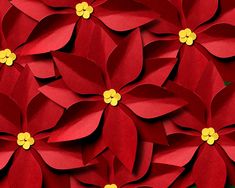 Several paper poinsettias with yellow centers arranged together. The petals have been curled to make the flowers 3D. Photo Transfer To Paper, Holiday Party Crafts, Christmas Card Svg, Foto Transfer, File Template, Card Svg, Diy Shirts, Photo Transfer, Poinsettia Flower