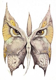 a drawing of an owl's wings with yellow and white markings on the wings