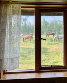 horses are grazing in the field through an open window with sheer curtains on either side