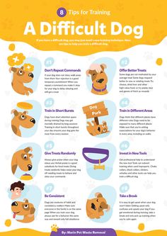 a poster with instructions on how to train a dog in different positions and colors, including the