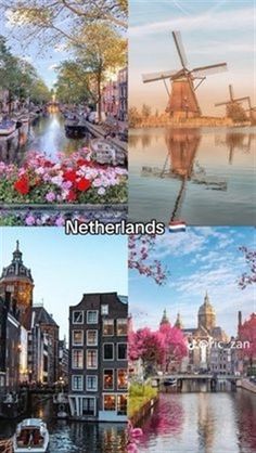 four different pictures with flowers and windmills in the middle one has boats on it