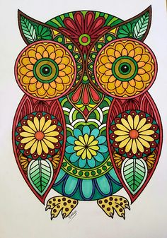 an owl with colorful flowers and leaves on it's face is shown in this drawing