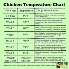 the chicken temperature chart is shown with instructions for how to cook it and what to use it