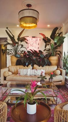 a living room filled with lots of furniture next to a large potted plant on top of a table