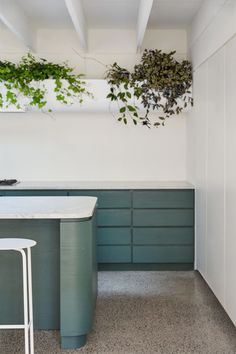 a kitchen with green cabinets and white counter tops next to a plant hanging from the ceiling