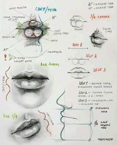 a drawing of different types of lips