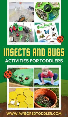 insects and bugs activities for toddlers