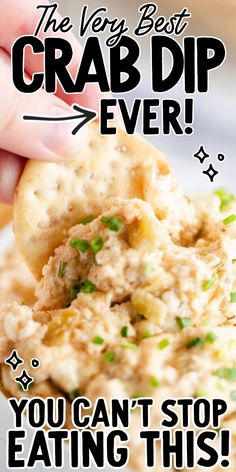 Easy Hot Crab Dip, Crab Dip Recipe Cold, Cold Dip Recipes, Seafood Dip, Crab Cake