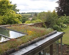 a green roof on top of a building next to a lush green field and trees