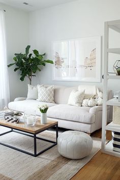 a living room filled with furniture and a potted plant on top of a coffee table