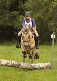 a woman riding on the back of a brown horse over a log in a field