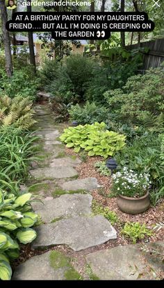 a stone path in the middle of a garden with plants and flowers on either side that reads, at a birthday party for my daughters friend, but i'm