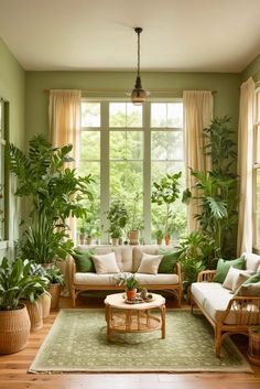 a living room filled with furniture and lots of green plants in the window sill