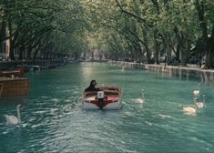 a person in a boat on a canal with swans