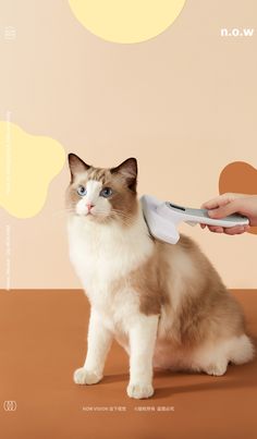 a cat sitting on top of a table with a hair dryer in it's mouth