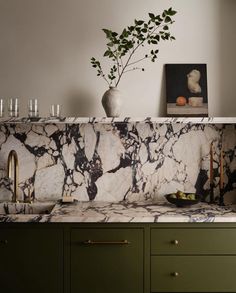 a kitchen with marble counter tops and green cabinetry in the corner, next to a potted plant