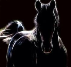 a black horse is standing in the dark