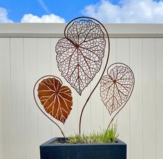 a metal planter with three leaves in it on top of a wooden table next to a white fence