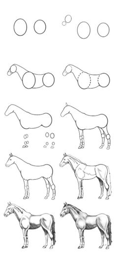 an image of horses in different positions to draw on the page, with bubbles above them