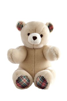 a brown teddy bear sitting up against a white background