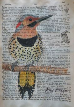 a drawing of a bird sitting on a branch with words all over the page behind it