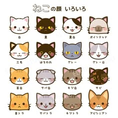 an image of cats with different expressions on it's face in japanese characters and english words