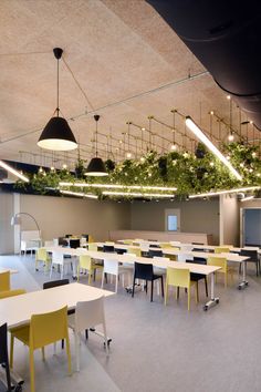 Modern school and classroom where natural acoustic wood wool tiles are used as a ceiling solution. Modern interior design with expressive lights and chandeliers, white school desks and light green and black chairs, colorful wall art and green plants. Wood Wool Panels, Classroom Ceiling, Study Process, Acoustic Ceiling Tiles, Modern School, Acoustic Ceiling Panels, Acoustic Ceiling, Wool Texture, Acoustic Design