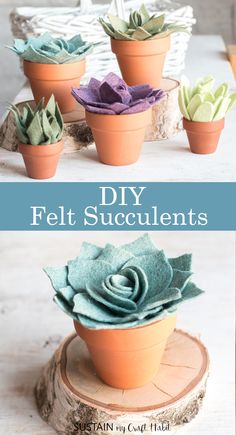 diy felt succulents in clay pots with text overlay